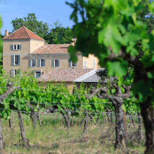 Une tradition séculaire de culture de la vigne